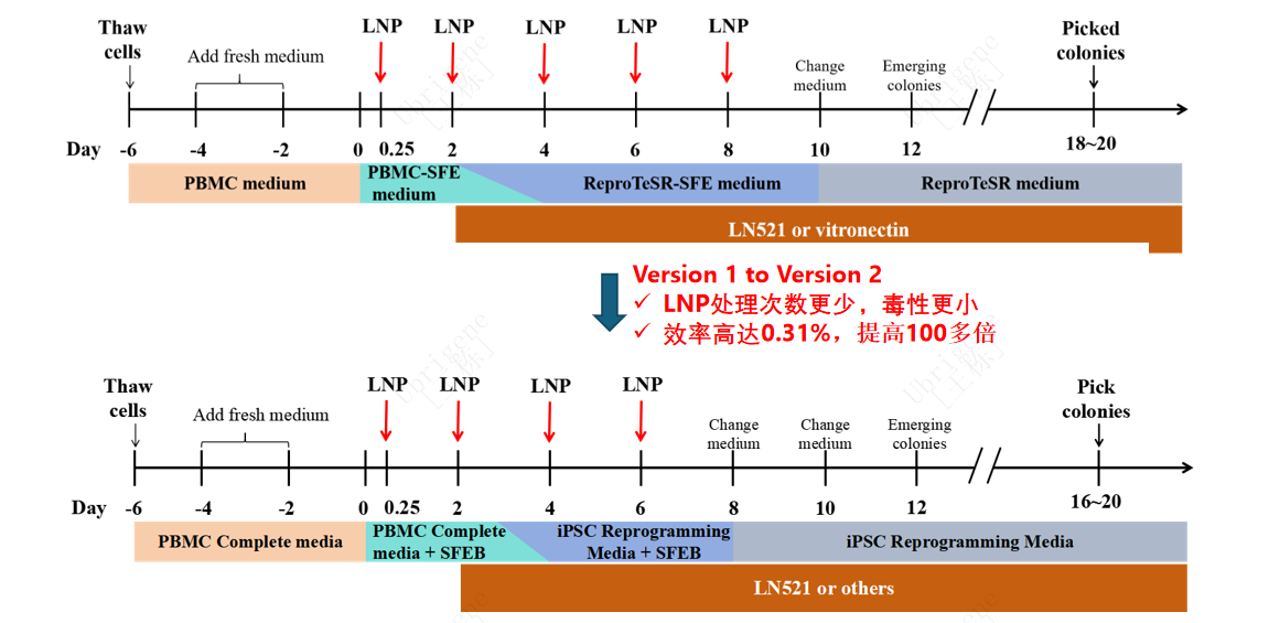 /upload/202510/13/202510131309257560.png /upload/202510/13/202510131309257560.png